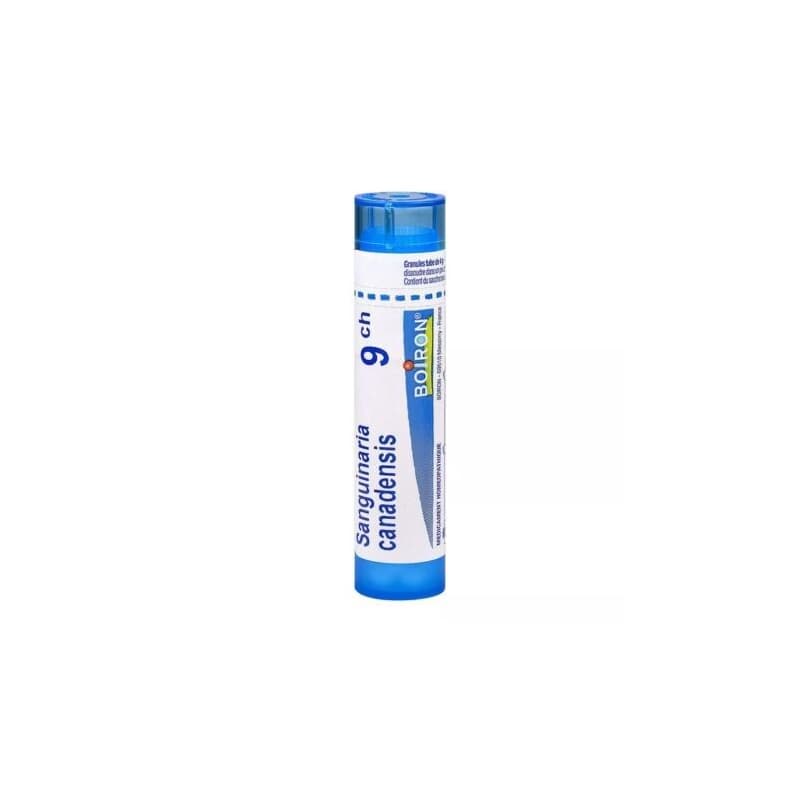 SANGUINARIA CANADENSIS 9CH granule 4 g