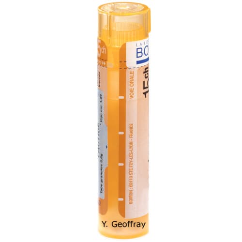 BRYONIA 15CH granule 4 g