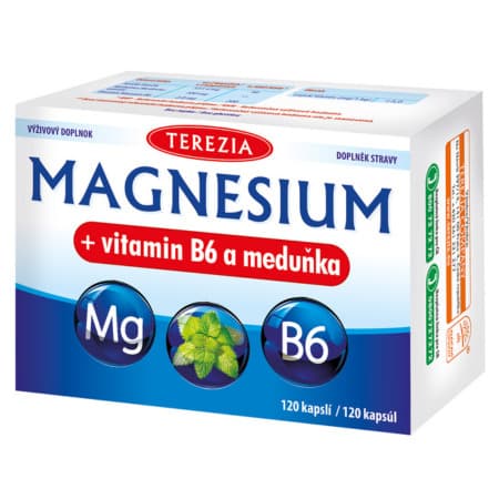 TEREZIA Magnézium + vitamin B6 a medovka 120 ks