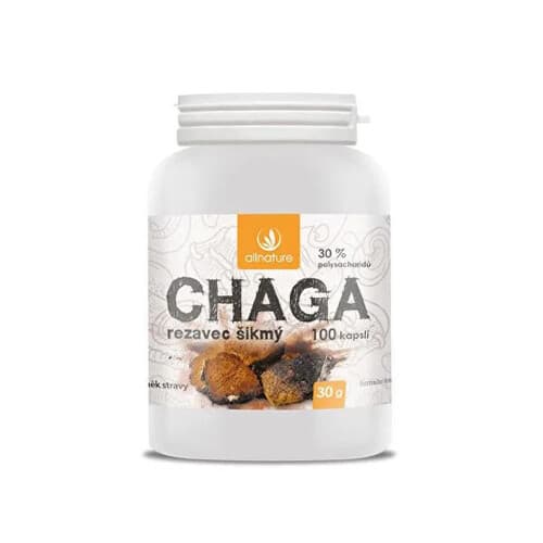 ALLNATURE Chaga 100 kapsúl 1
