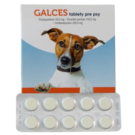 PHARMAGAL Galces tablety pre psy tbl 10 1