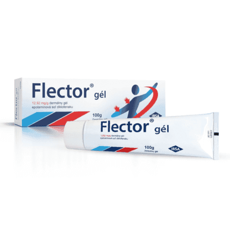 FLECTOR Gél 100 g 1