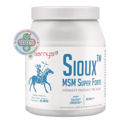 BARNY´S Sioux MSM super forte 600 g 1