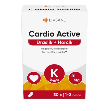 LIVSANE Cardio active draslík + horčík 30 tabliet 1