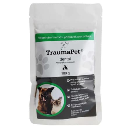 TRAUMAPET Dental 100 g