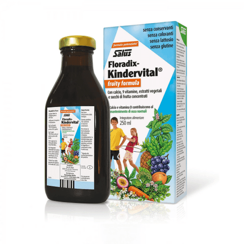 SALUS Floradix kindervital fruity 250 ml 1