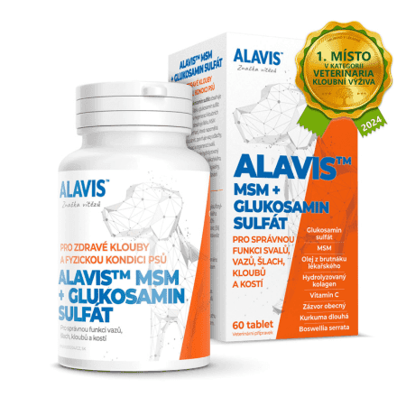 ALAVIS MSM + Glukozamín sulfát 60 tabliet 1