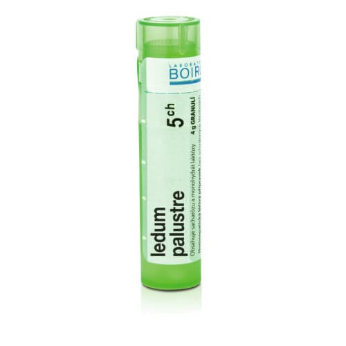 LEDUM PALUSTRE 5CH granule 4 g 1