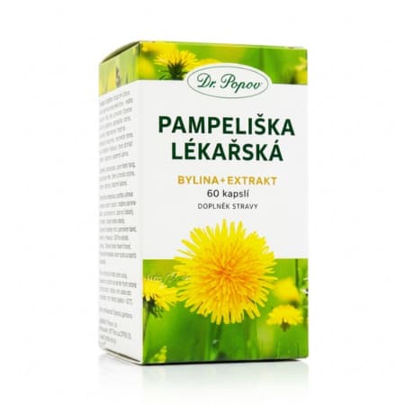 DR. POPOV Púpava lekárska 60 kapsúl