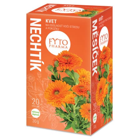 FYTO Nechtík 20 x 1,5g