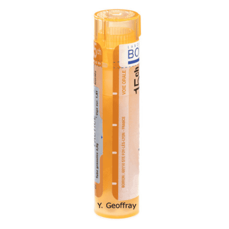 BOIRON Arsenicum iodatum gra 1 x 4 g (CH15) 1